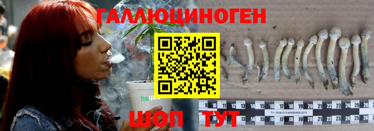 Галлюциногенные грибы мухоморы Губкин